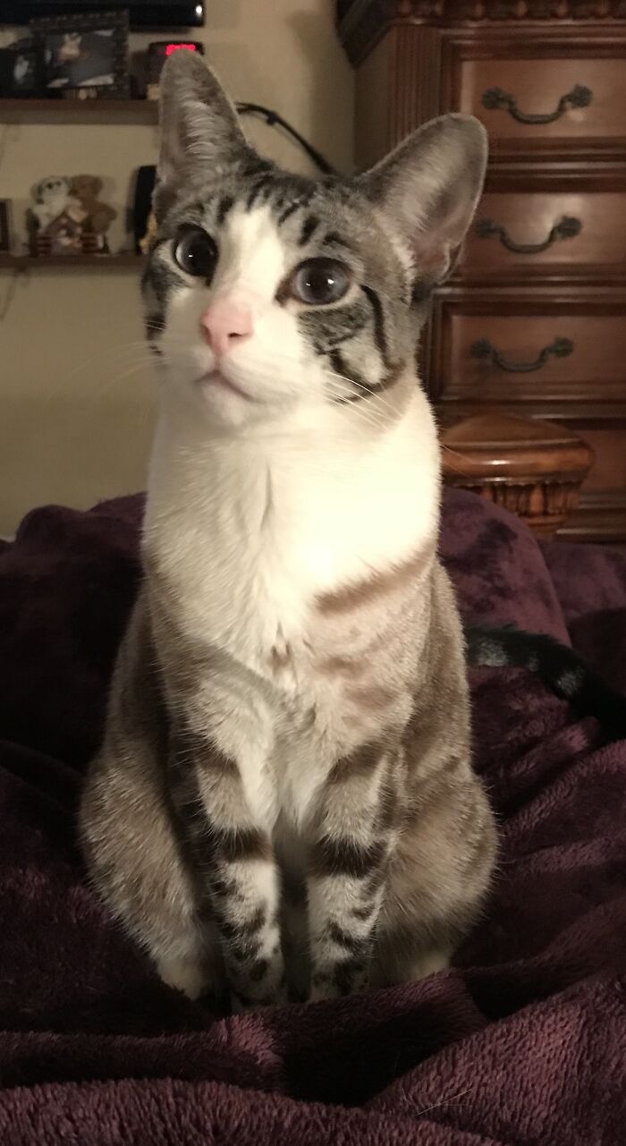 Sophie All Grown And Gorgeous.