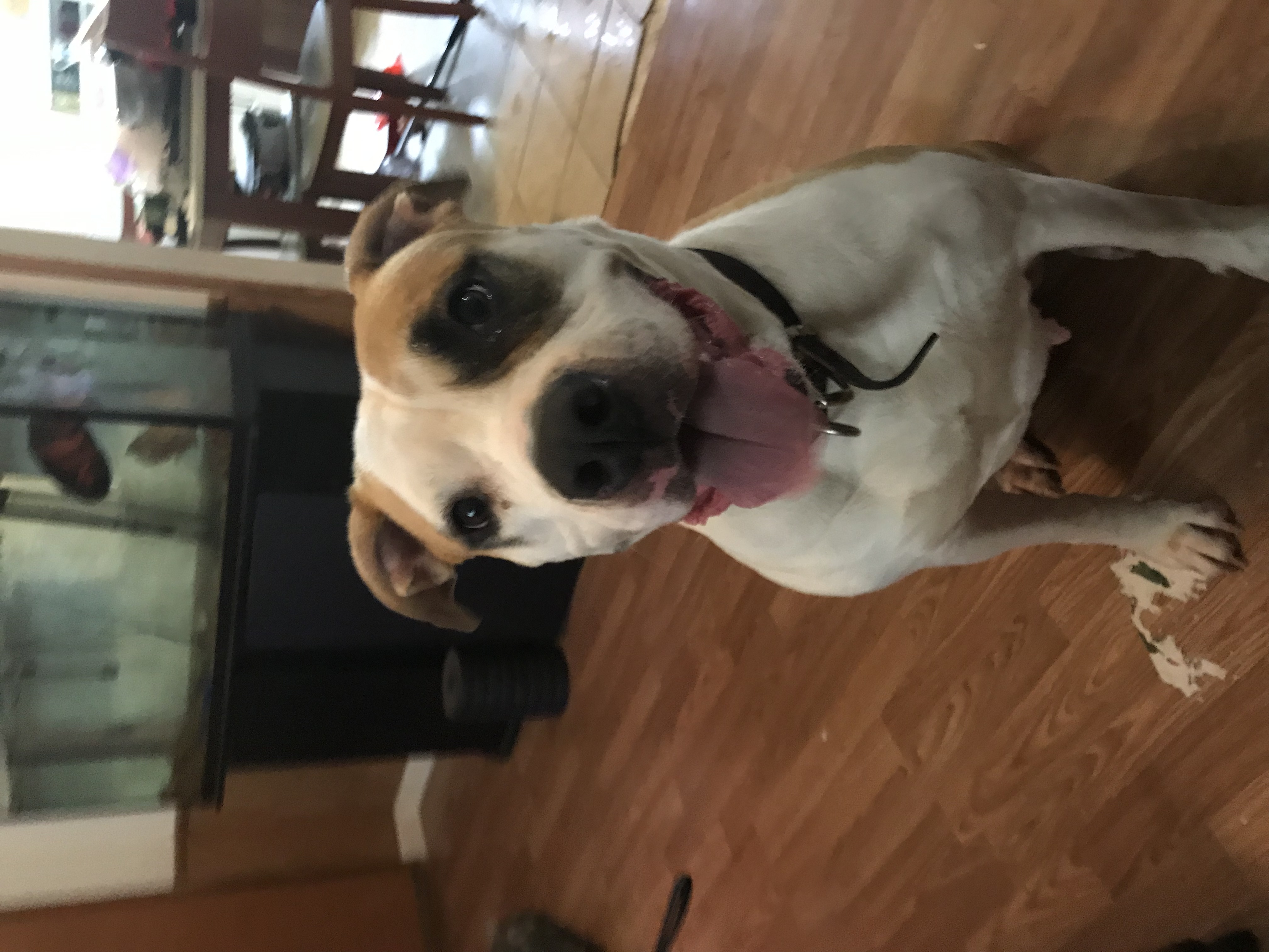 Thought You Guys Might Like Some Cute Animals :)