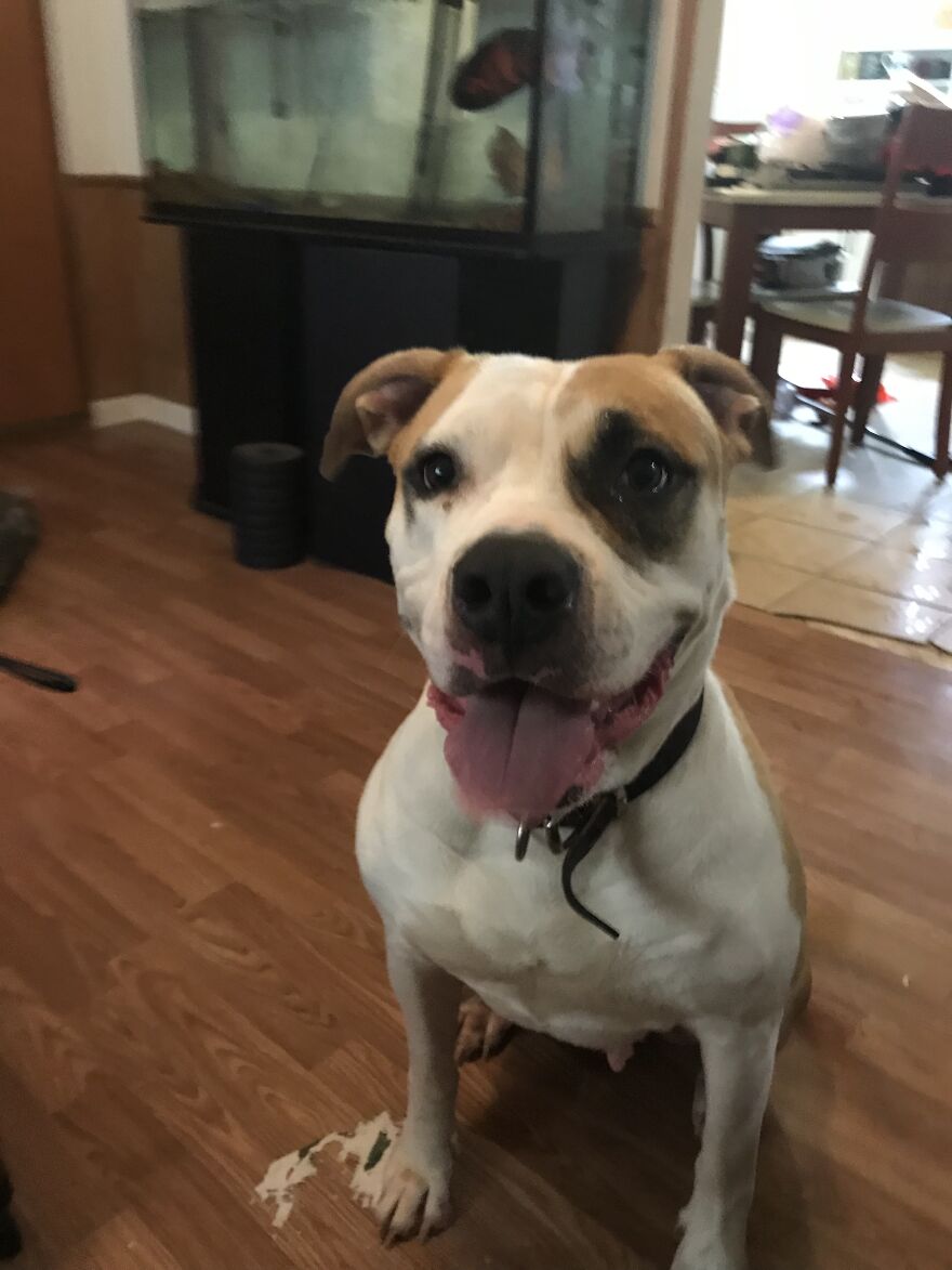 Thought You Guys Might Like Some Cute Animals :)