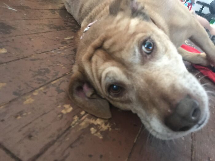 Minnie I Don’t Know What’s She’s Doing Xd