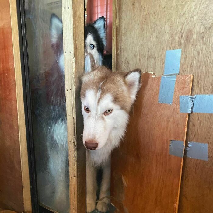 What Are You Peeking At?