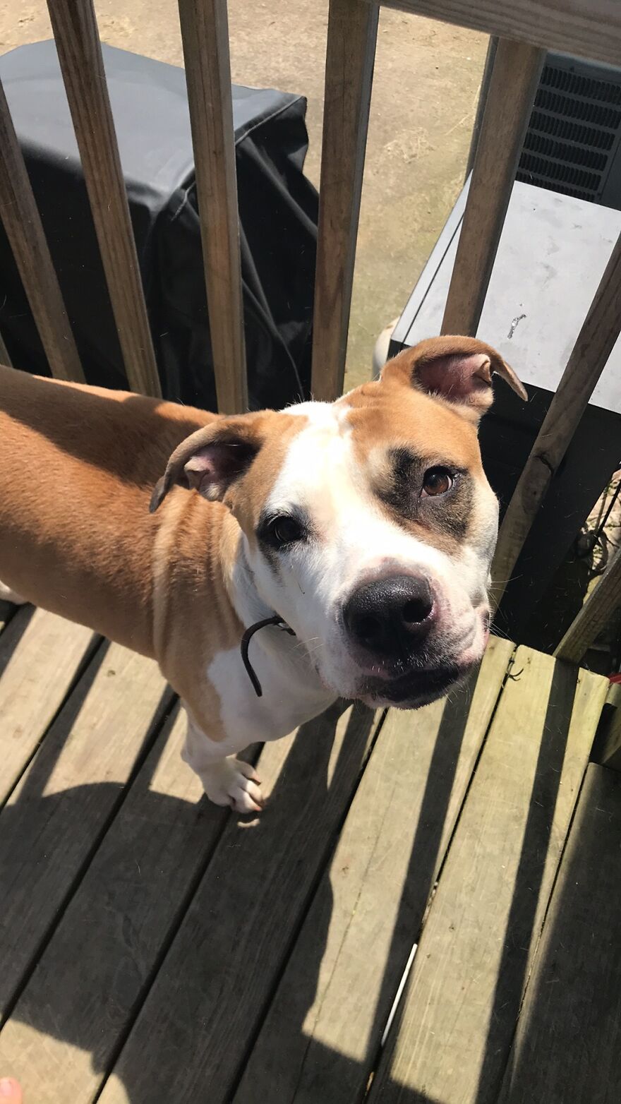 Thought You Guys Might Like Some Cute Animals :)