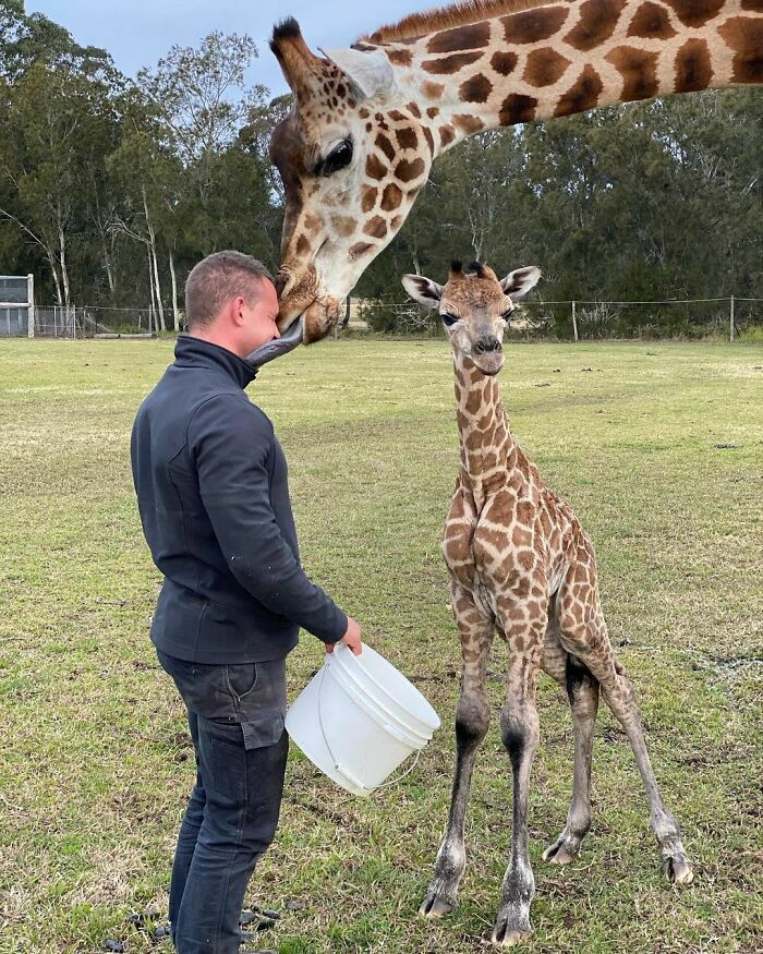 Australian Zookeeper Shares The Behind-The-Scenes Of Running A Wildlife Park (21 Pics) Australian Zookeeper Shares The Behind-The-Scenes Of Running A Wildlife Park (21 Pics)