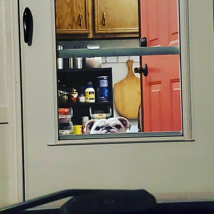 My View When We Came Home From Camping. I Think Someone Missed Us