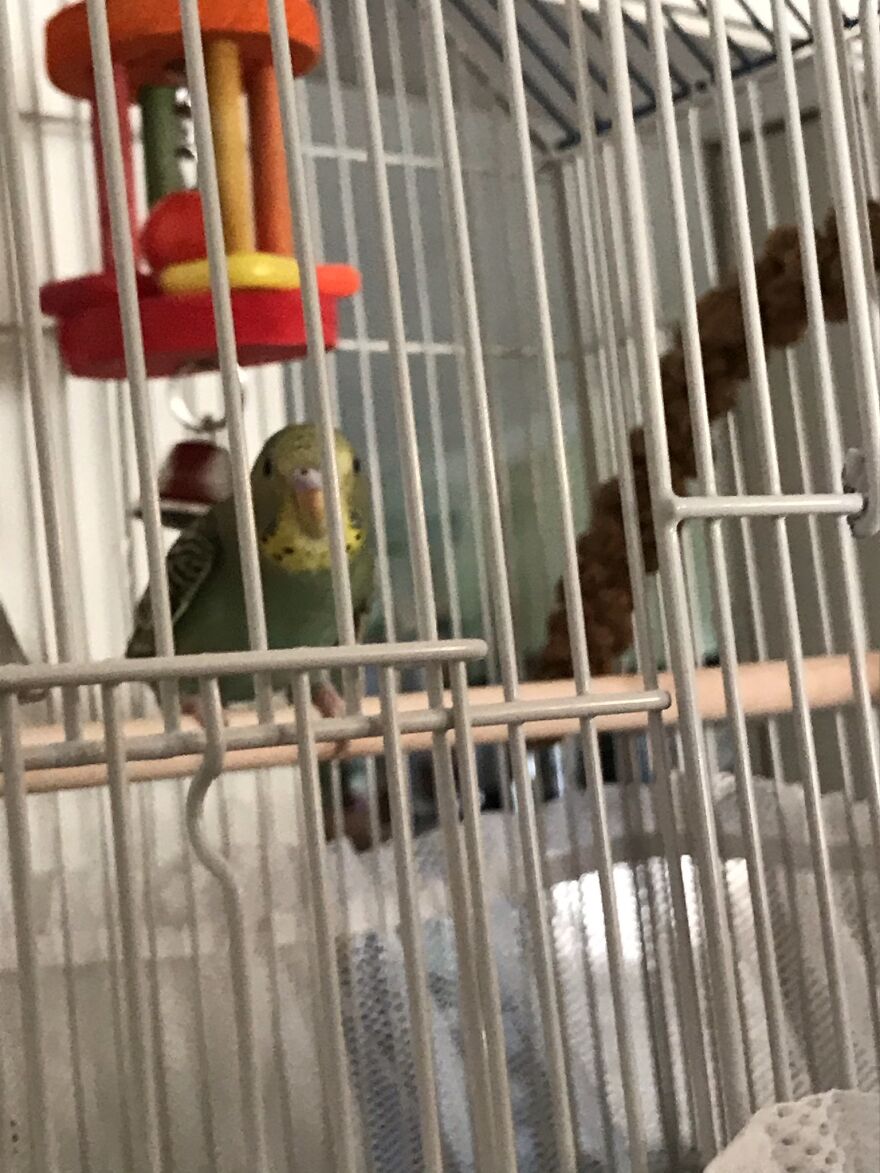 Thought You Guys Might Like Some Cute Animals :)