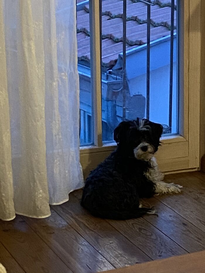 Right Now, One Third Of My Animals