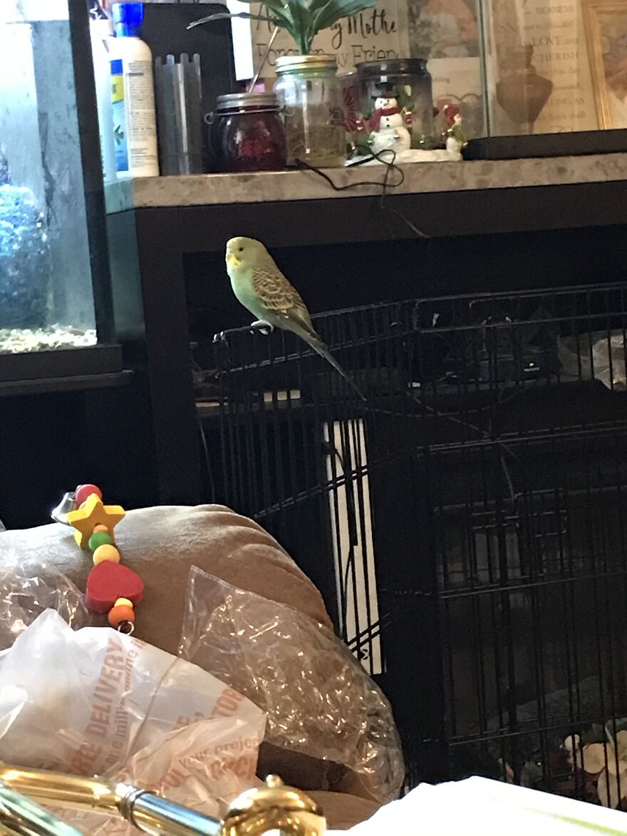 Thought You Guys Might Like Some Cute Animals :)