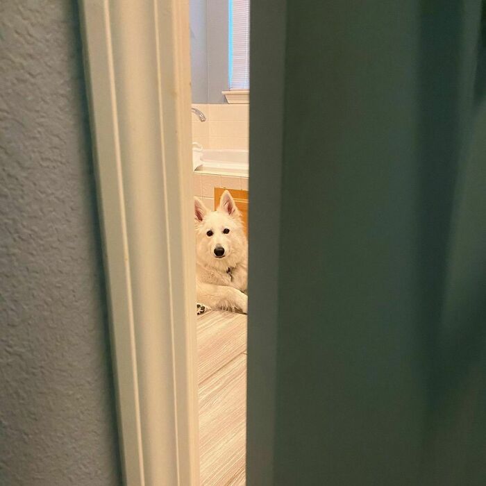 A Little Privacy Is Hard To Get Sometimes