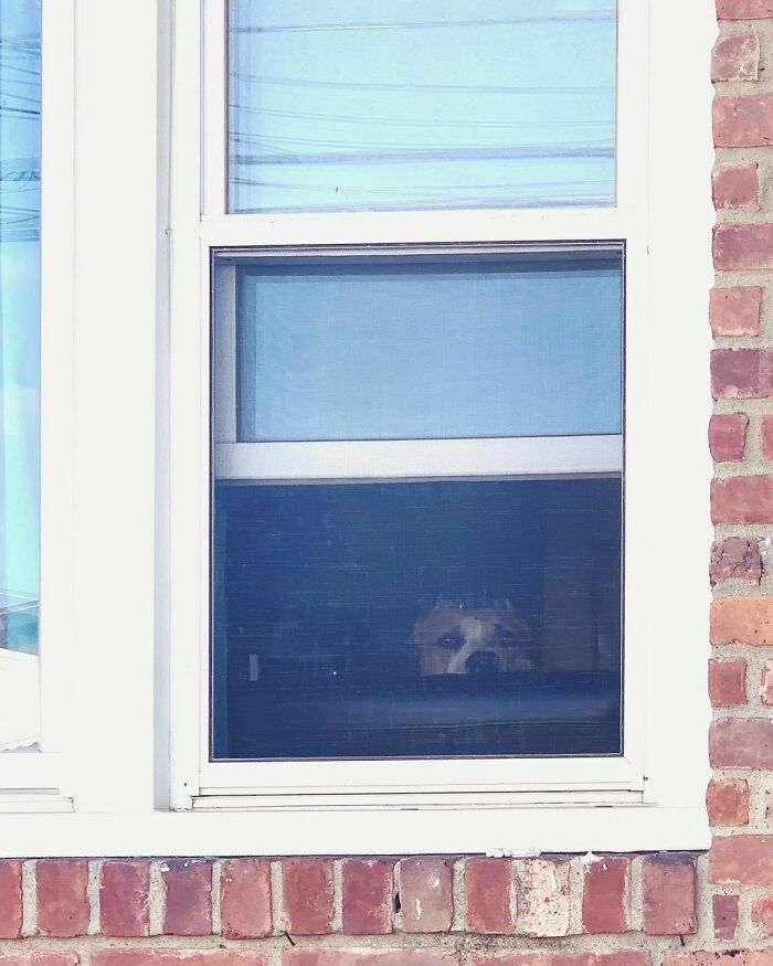 Inside Out Peeping Ellie