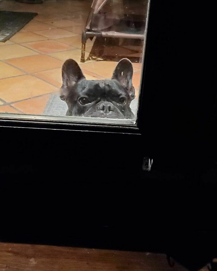 Do You Ever Get That Feeling Someone's Watching You?