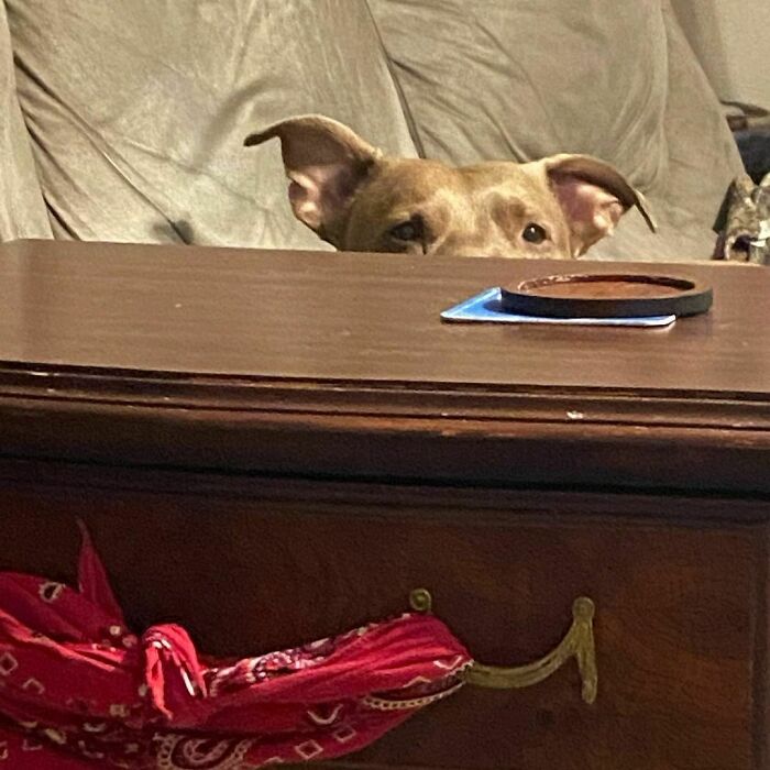 Someone Knows I Have Fruit Loops