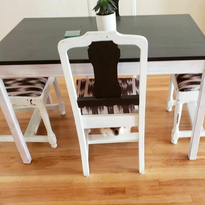 Nobody Will See Me Down Here