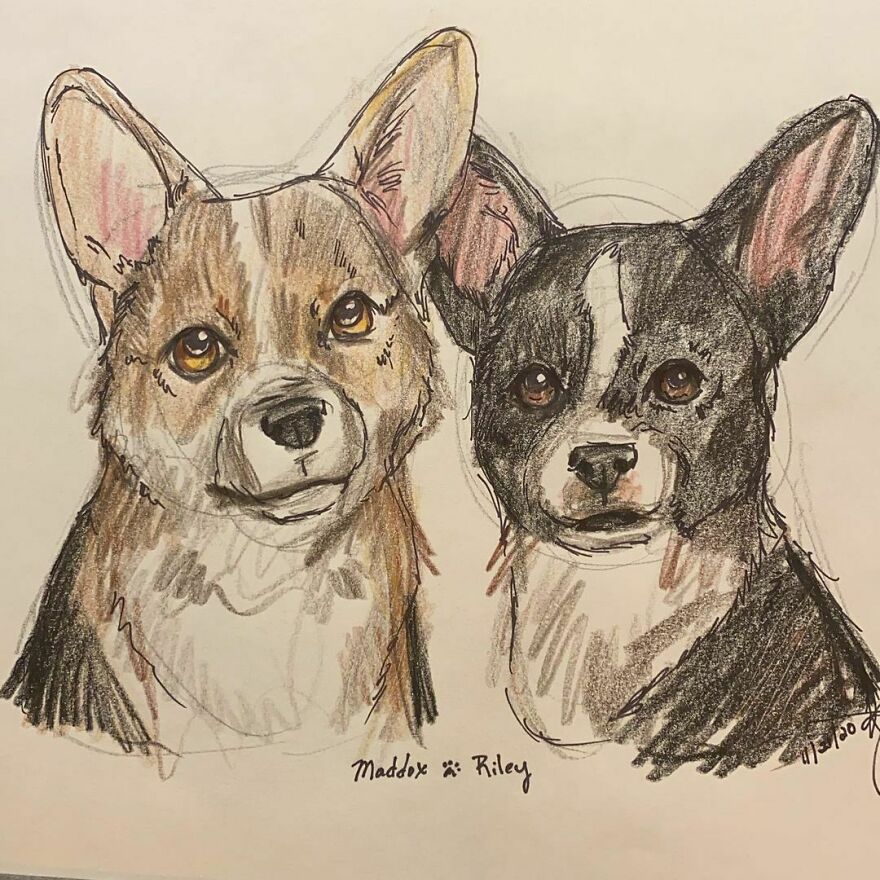 Pet Portraits For Charity