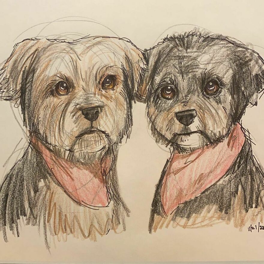 Pet Portraits For Charity