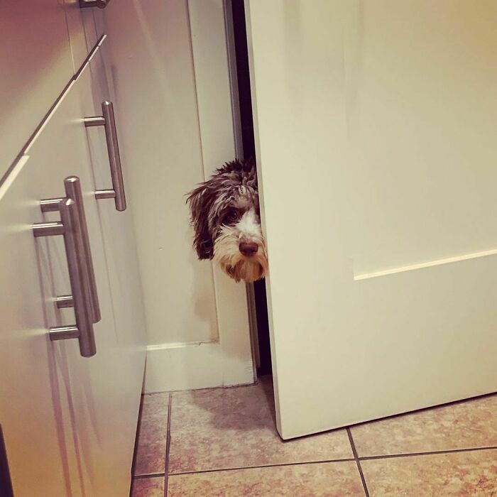 You Can’t Hide From The Great Gatsby. Even In The Restroom, I Will Find You