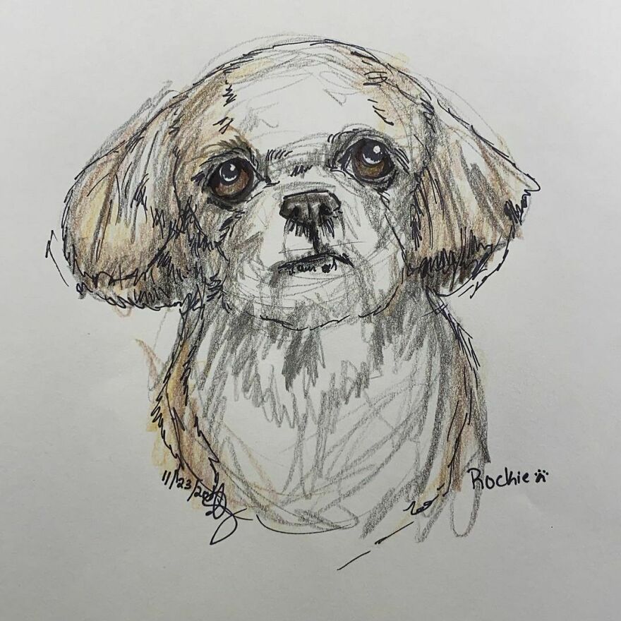 Pet Portraits For Charity