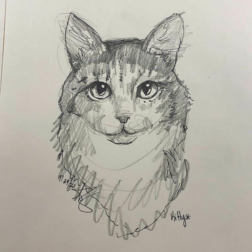 Pet Portraits For Charity