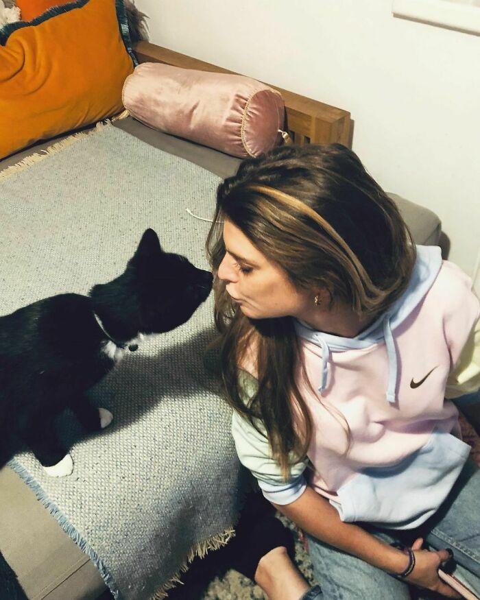 Cat Brings Its Parents A Note From The Neighbors He Visits, They Become Pen Pals With The Cat As Their Postman Cat Brings Its Parents A Note From The Neighbors He Visits, They Become Pen Pals With The Cat As Their Postman