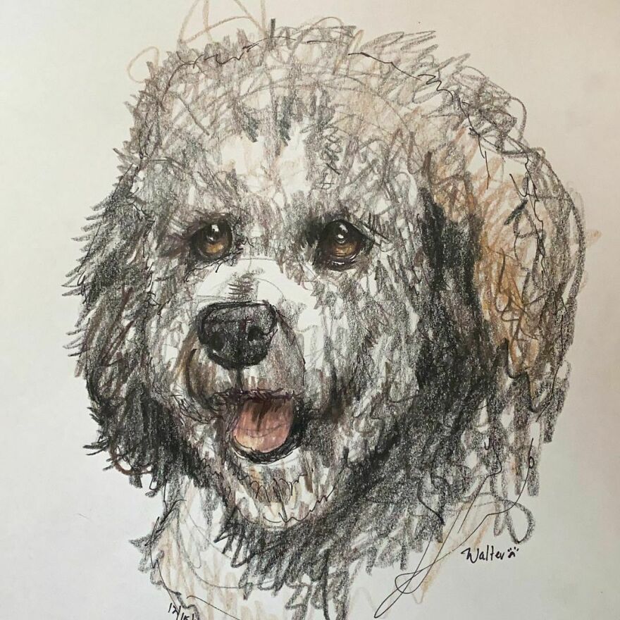 Pet Portraits For Charity