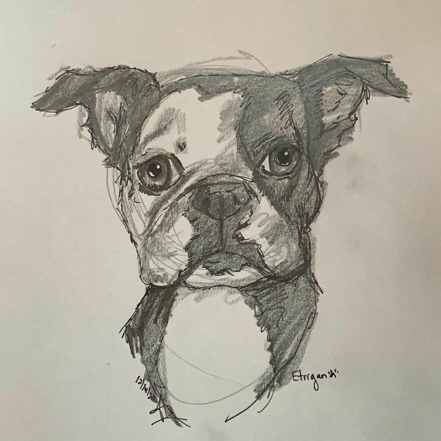 Pet Portraits For Charity