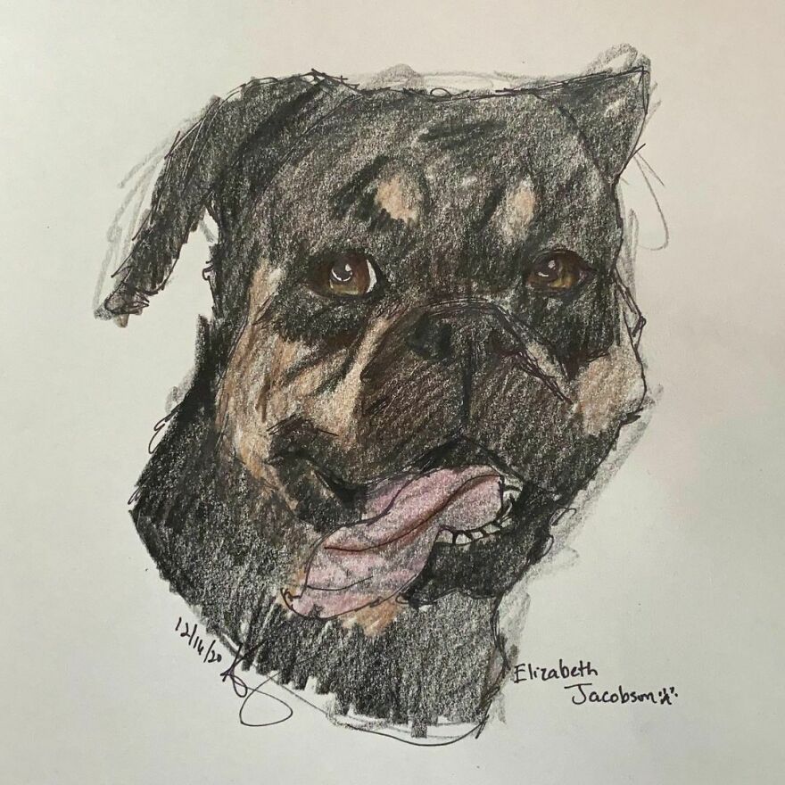 Pet Portraits For Charity