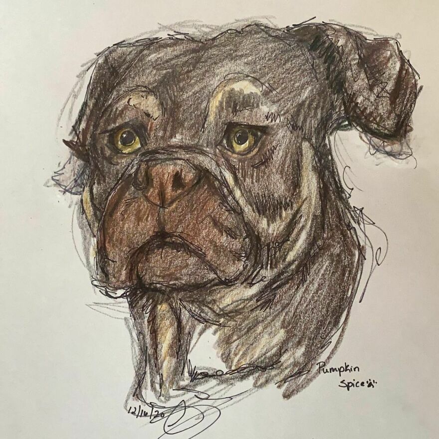 Pet Portraits For Charity