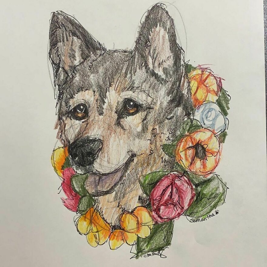 Pet Portraits For Charity