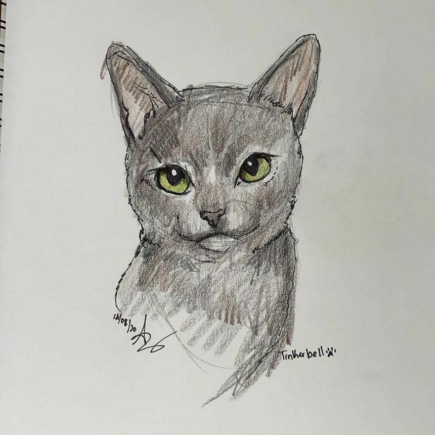 Pet Portraits For Charity
