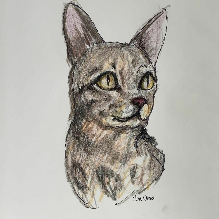 Pet Portraits For Charity