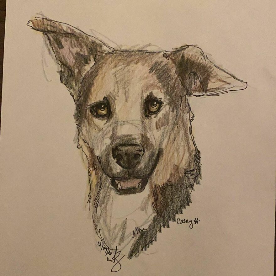 Pet Portraits For Charity