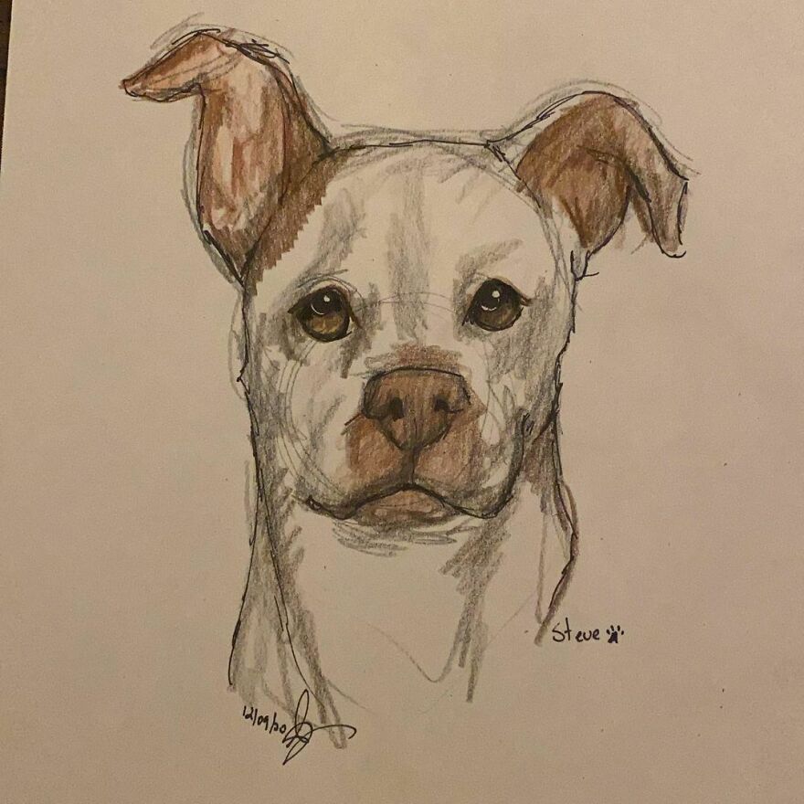 Pet Portraits For Charity