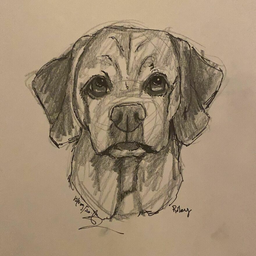 Pet Portraits For Charity