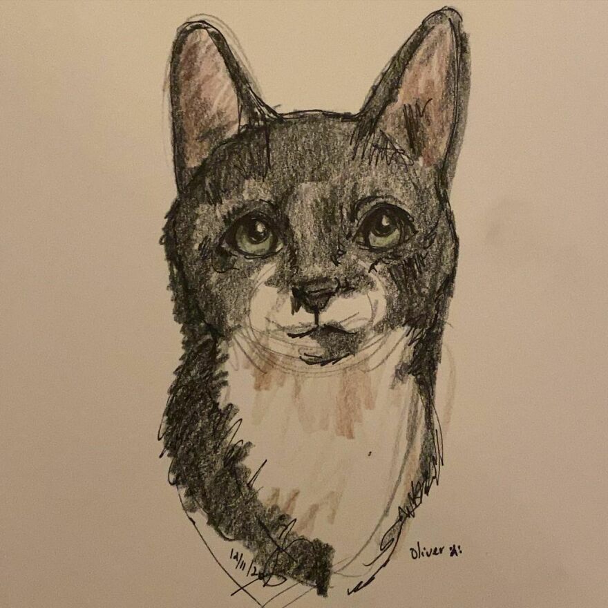 Pet Portraits For Charity