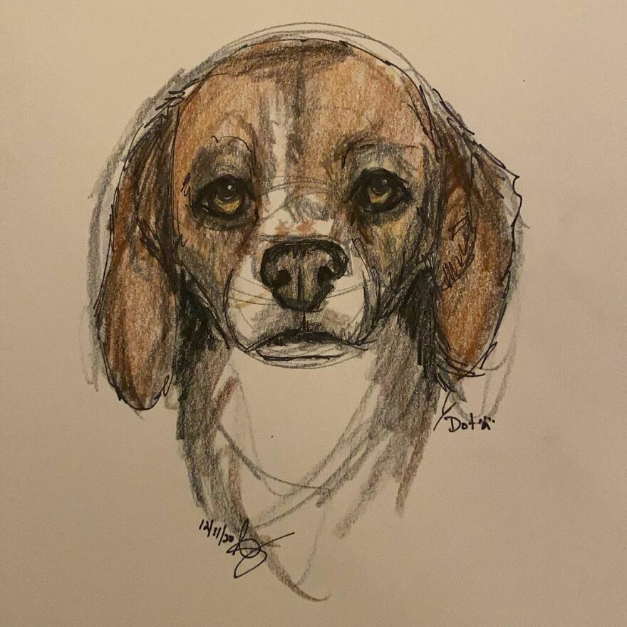 Pet Portraits For Charity