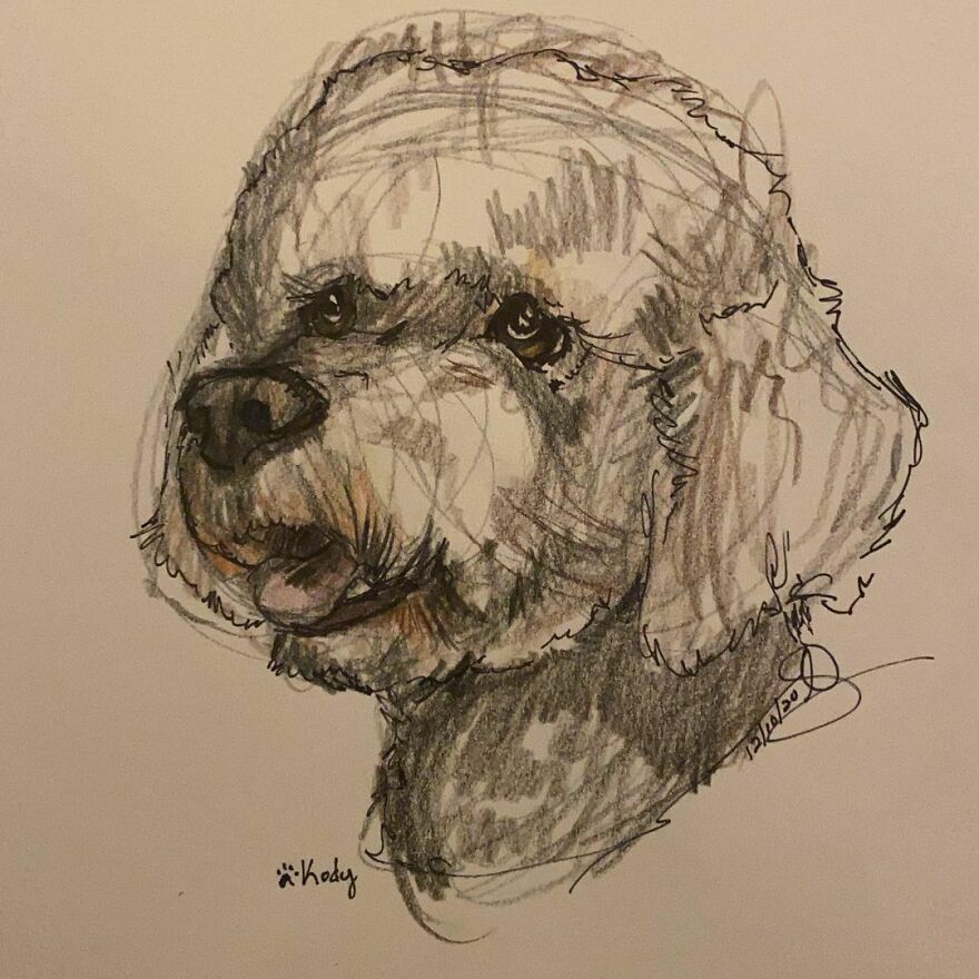 Pet Portraits For Charity