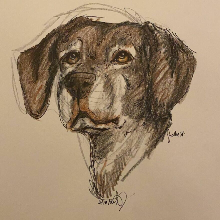 Pet Portraits For Charity