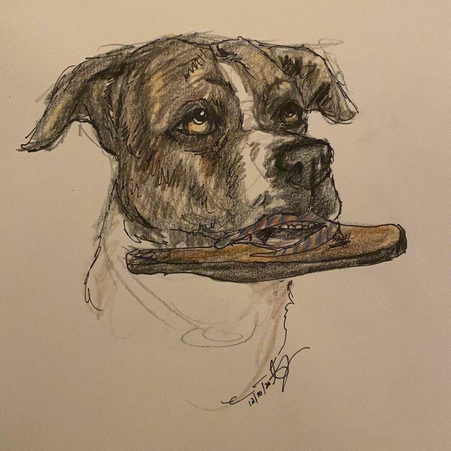 Pet Portraits For Charity