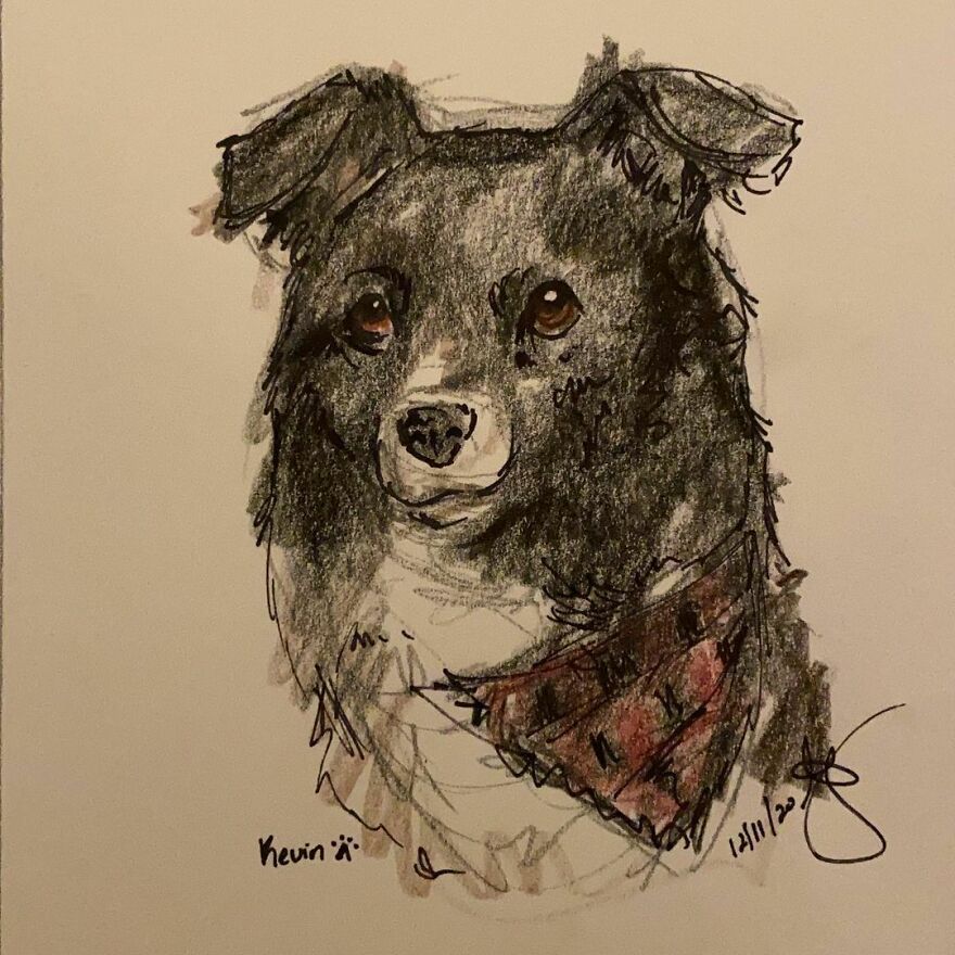 Pet Portraits For Charity