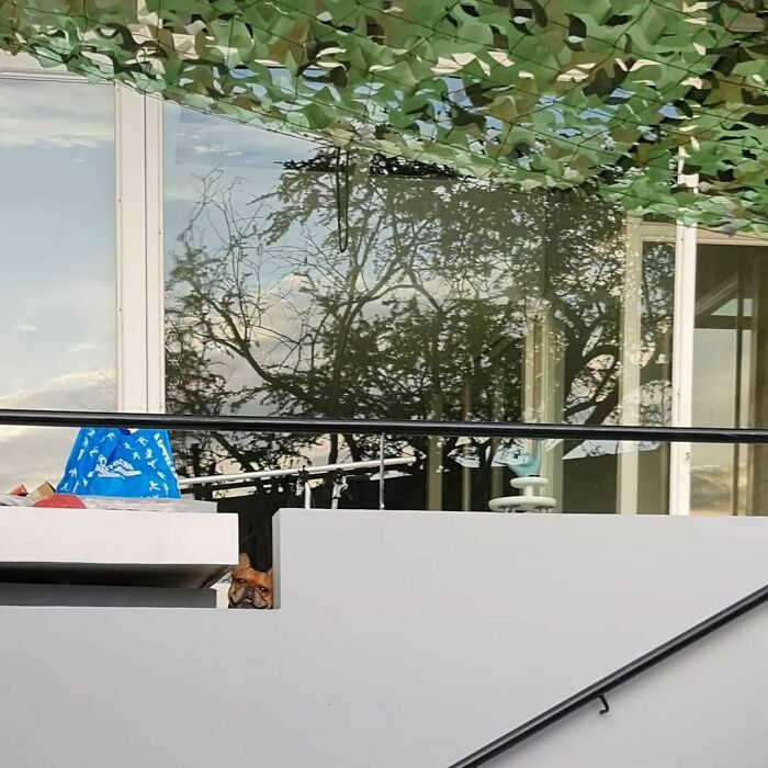 Not Peeking! It's A Surprise