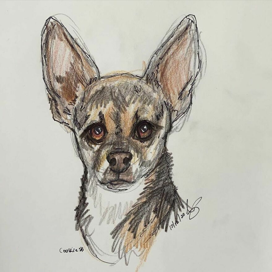 Pet Portraits For Charity