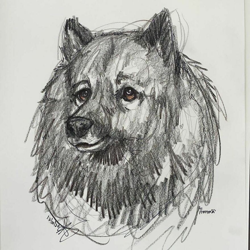 Pet Portraits For Charity