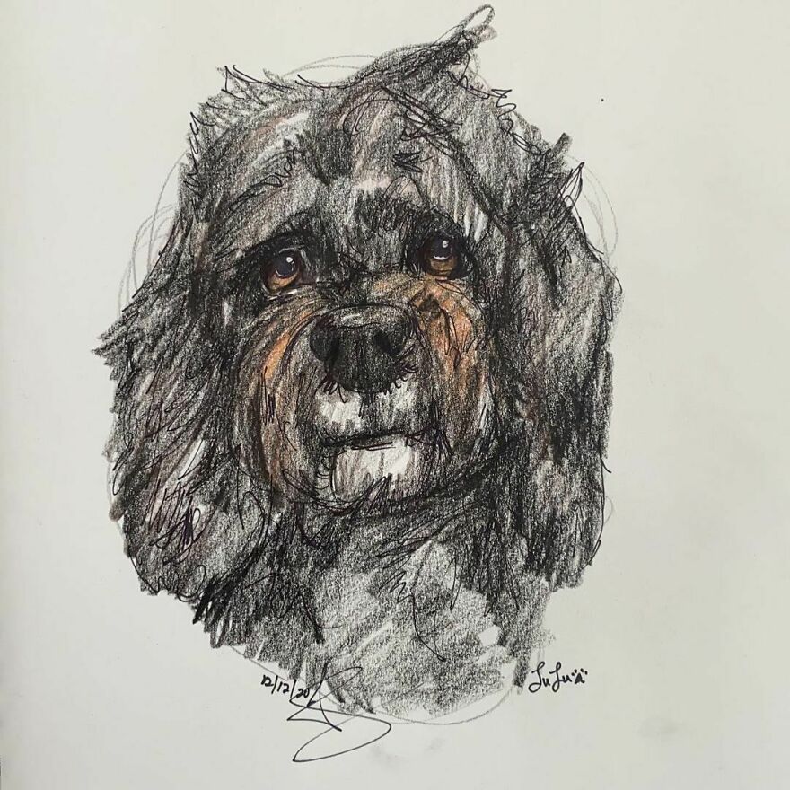 Pet Portraits For Charity