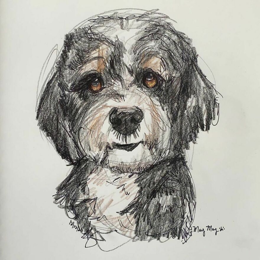 Pet Portraits For Charity