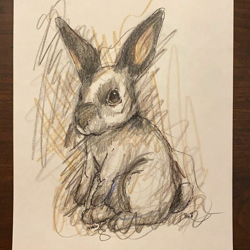 Pet Portraits For Charity