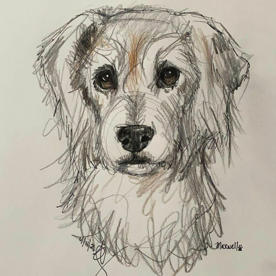 Pet Portraits For Charity