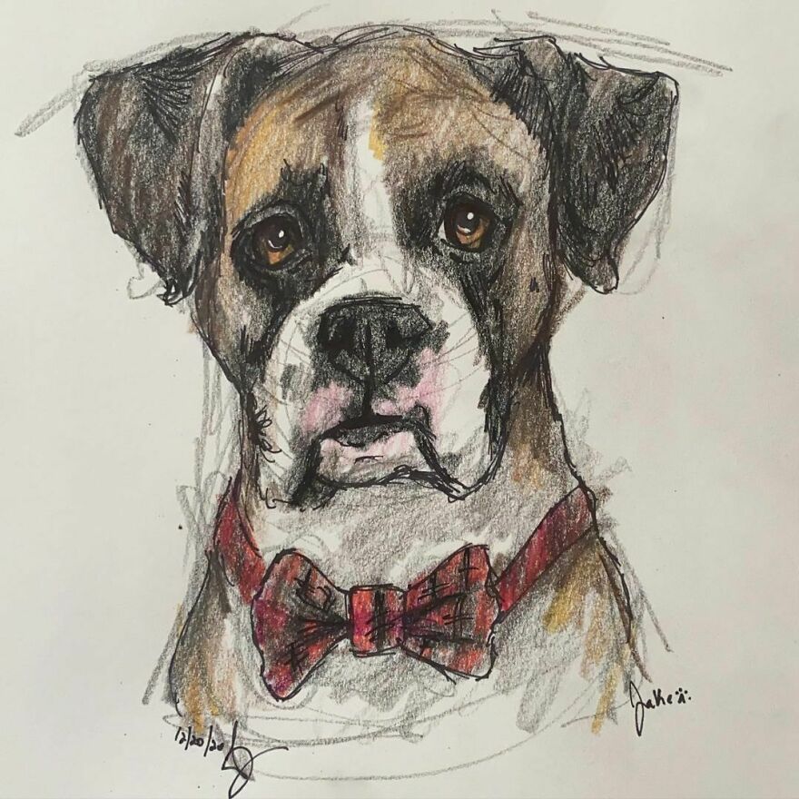 Pet Portraits For Charity