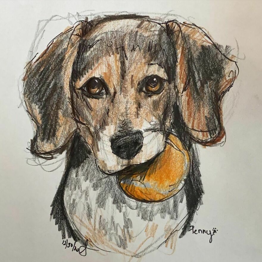 Pet Portraits For Charity