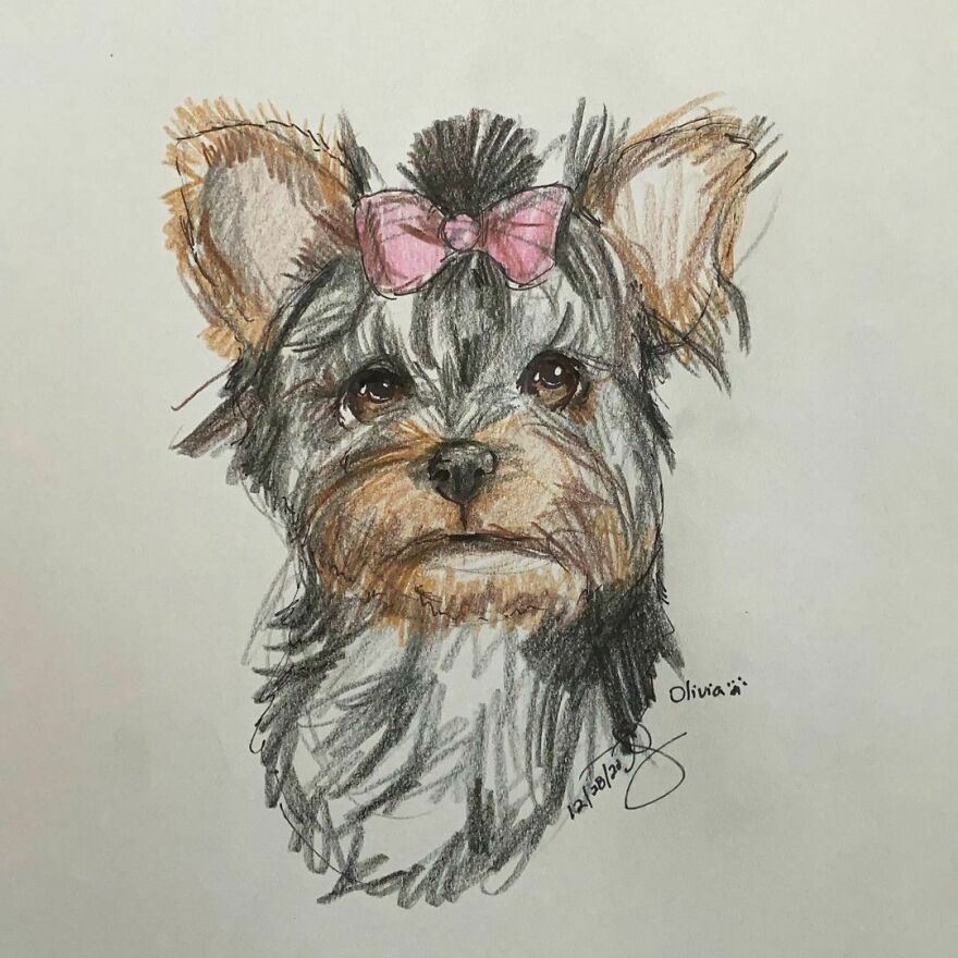 Pet Portraits For Charity