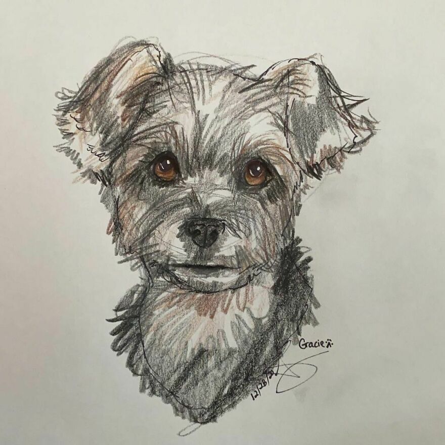 Pet Portraits For Charity