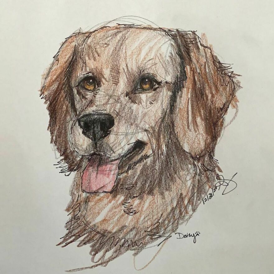 Pet Portraits For Charity